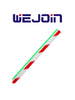 WEJOIN WJLBM6 - Brazo Recto Octagonal de 6 Metros con Led