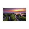 Pantalla Profesional LED de 55, UHD 4K (3840x2160p), Entradas de Video HDMI, Bocinas Integradas de 10 W. Compatible VESA