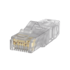 Plug RJ45 Cat6A, Para Cable UTP de Calibre 23-24 AWG, Chapado en Oro de 50 Micras, Paquete de 100 Piezas