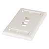 Placa de Pared Vertical, Salida Para 2 Puertos Keystone, Con Espacios Para Etiquetas, Color Blanco Mate