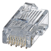 Plug RJ45 Cat5e, Para Cable UTP de Calibres 24-26 AWG, Chapado en Oro de 50 Micras, Paquete de 100 Piezas