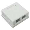 Caja de Pared con 2 Puertos, Incluye 2 Jacks STP Cat5e Keystone