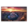 Pantalla Profesional de 85