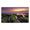 Pantalla Profesional LED de 65