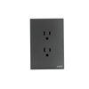 Placa con 2 Toma Corriente Duplex 2P Y T 10 - 15 A 127 V 60 Hz