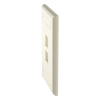Placa de Pared Vertical, Salida Para 2 Puertos Keystone, Con Espacios Para Etiquetas, Color Marfil