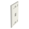 Placa de Pared Vertical, Salida Para 1 Puerto Keystone, Con Espacios Para Etiquetas, Color Blanco Mate