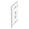 Placa de Pared Vertical, Salida Para 2 Puertos Keystone, Con Espacios Para Etiquetas, Color Blanco