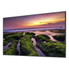 Pantalla Profesional LED de 55