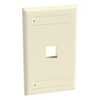 Placa de Pared Vertical, Salida Para 1 Puerto Keystone, Con Espacios Para Etiquetas, Color Marfil