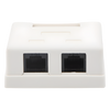 Caja de Pared con 2 Puertos, Incluye 2 Jacks UTP Cat5e Keystone