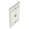 Placa de Pared Vertical, Salida Para 1 Puerto Keystone, Con Espacios Para Etiquetas, Color Blanco Mate