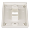 Placa de Pared Vertical, Salida Para 2 Puertos Keystone, Con Espacios Para Etiquetas, Color Blanco Mate