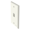 Placa de Pared Vertical, Salida Para 1 Puerto Keystone, Color Blanco Mate
