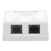 Caja de Pared con Jack UTP Cat5e y Jack RJ11 Telefónico